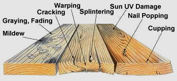Wood damage diagram.